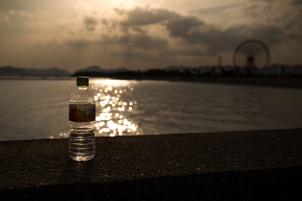 尽きない写欲