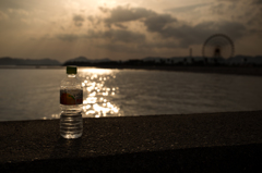 尽きない写欲