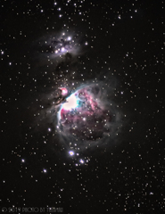庭で望むオリオン大星雲(30s x24枚)