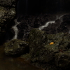 紅葉と飛龍の滝 ーオマケ編ー (2/4)