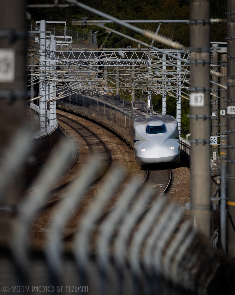 Rail-road of rib
