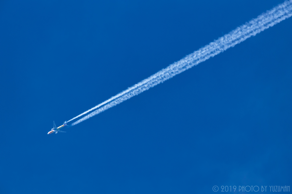 家の庭で撮るスペマ機