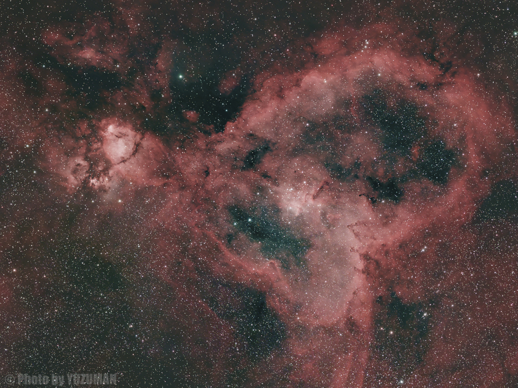 ハートを鷲摑み