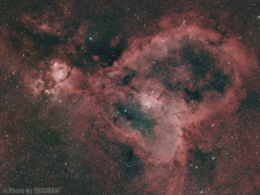 ハートを鷲摑み