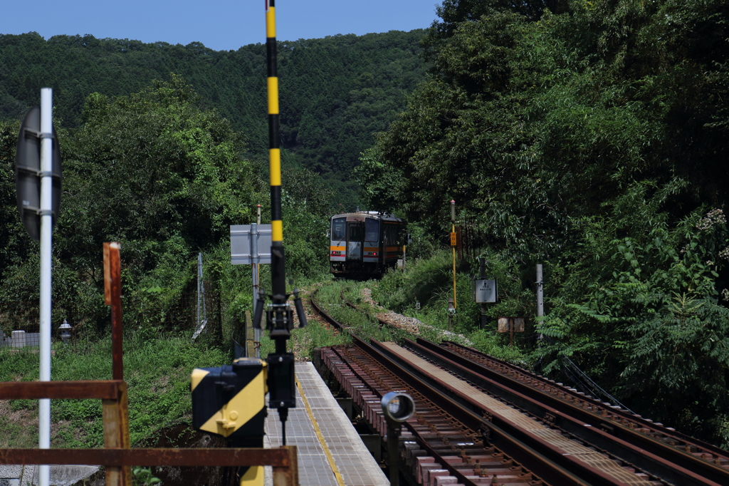 木陰の向こうの列車