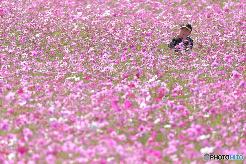 花より・・・