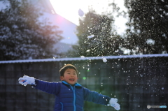 雪の朝 (1/9)