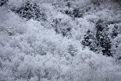 山の雪