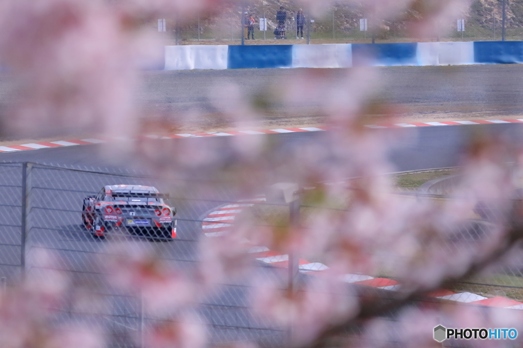 桜サーキット（4月）