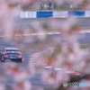 桜サーキット（4月）