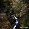 '16 秋の天滝 （2/6）