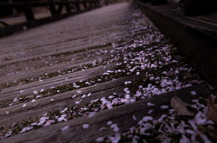 桜橋