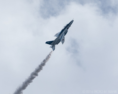 美保基地 航空祭2016（34/43）