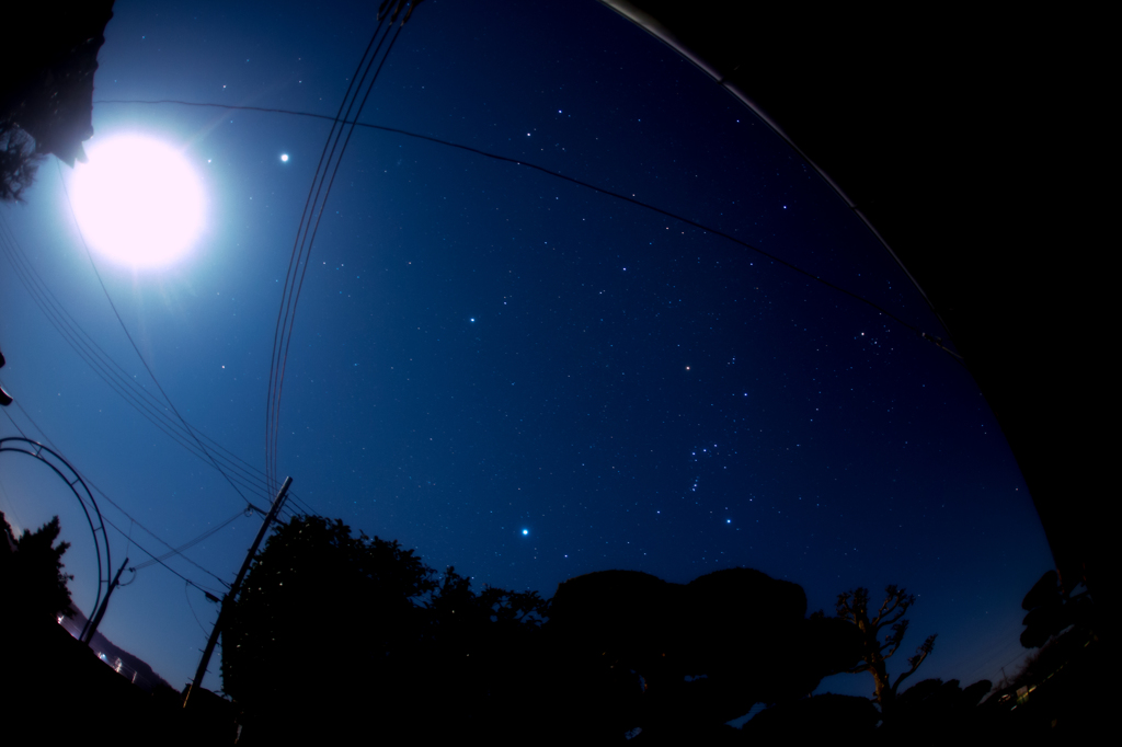 夜の太陽