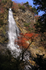 天滝とかえで