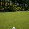 Birdie try！