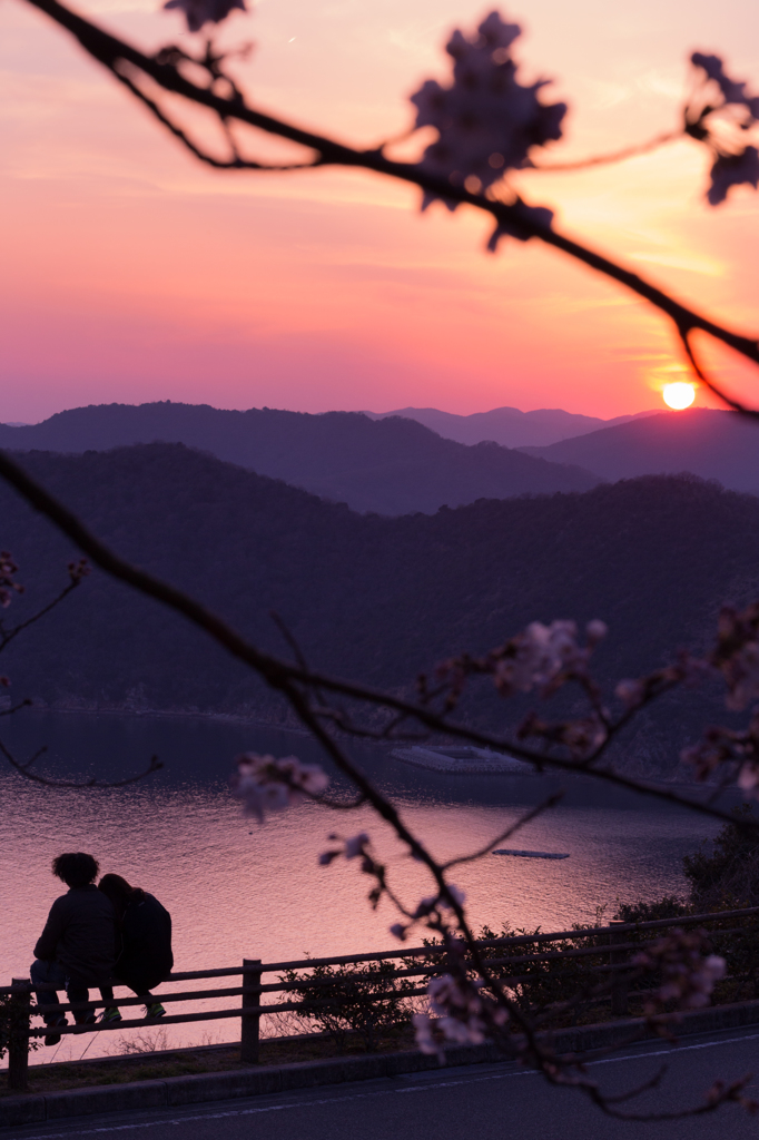 桜色に染まるふたつの心