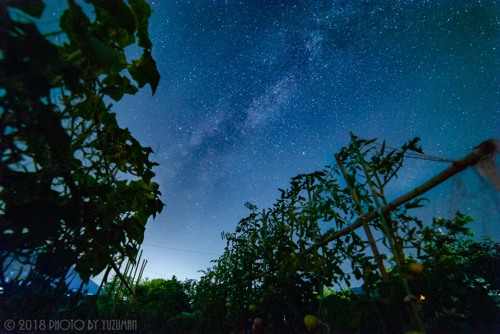 夏野菜と天の川