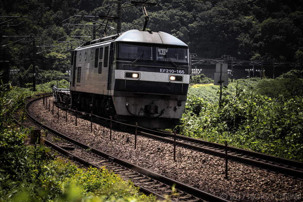 夏も働く貨物列車