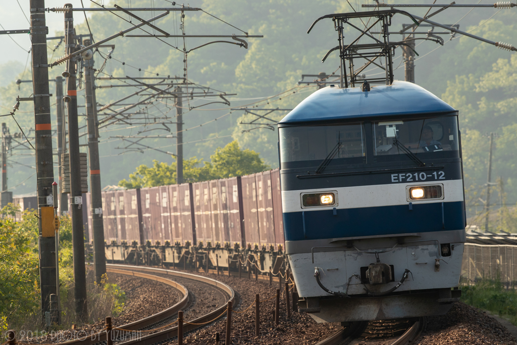 新緑香る貨物列車