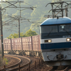 新緑香る貨物列車