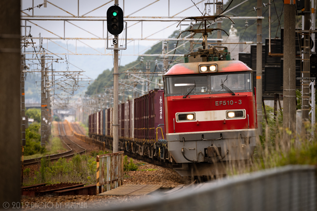 梅雨入り前の赤ゴトーさん