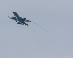 美保基地 航空祭2016（12/43）