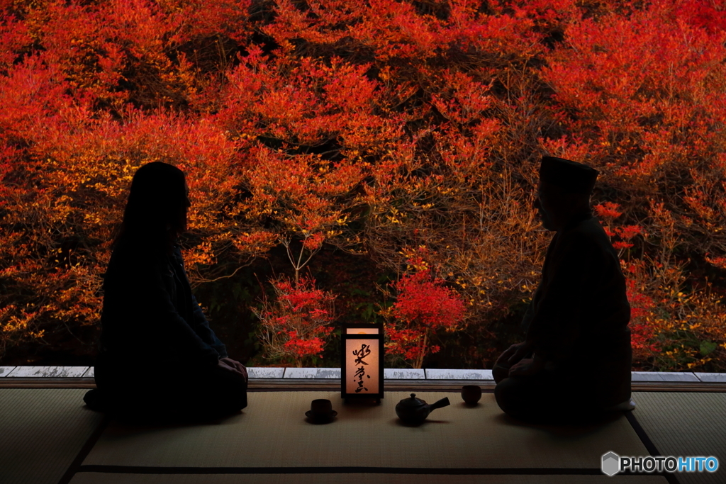 '16 秋の安国寺 （2/3）
