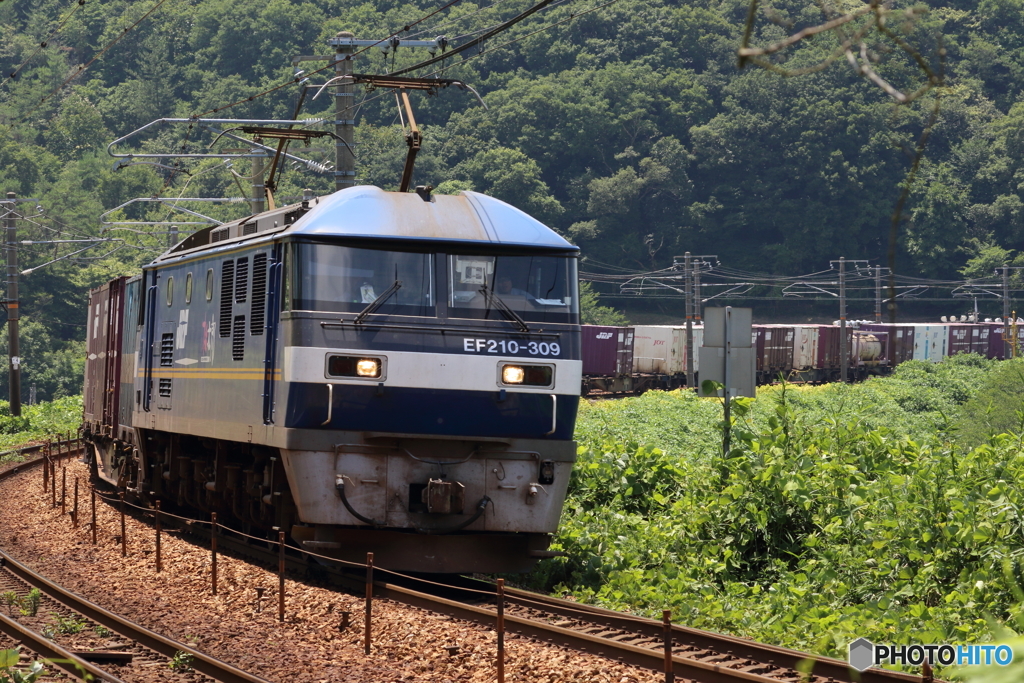 夏の押し太郎