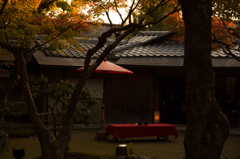 京都紅葉めぐり（33/50）