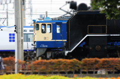 新旧対決（その２）