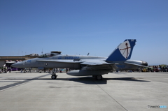 岩国航空基地フレンドシップデー(29/70)