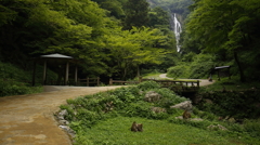 '15夏・家族旅行 ～神庭の滝～(2/5)