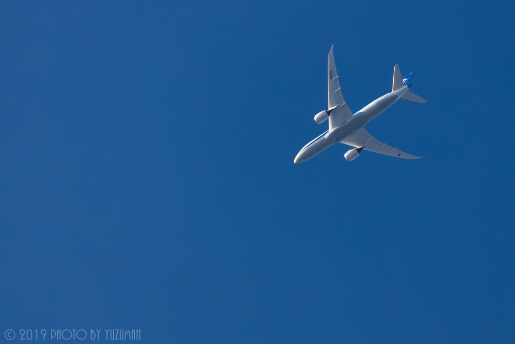 青空とB787