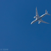 青空とB787