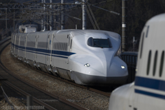 師走の聖地（３／３）