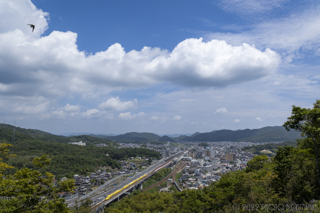 夏のイエロー