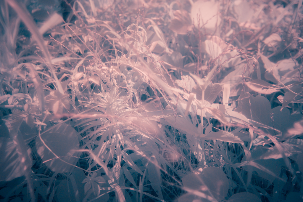 New world.-3-