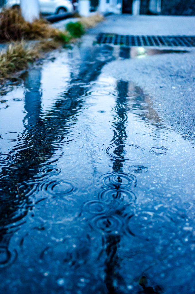 rainy day.