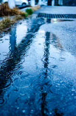 rainy day.