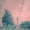 New world.-1-