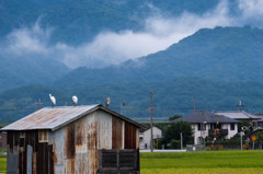 朝の光景