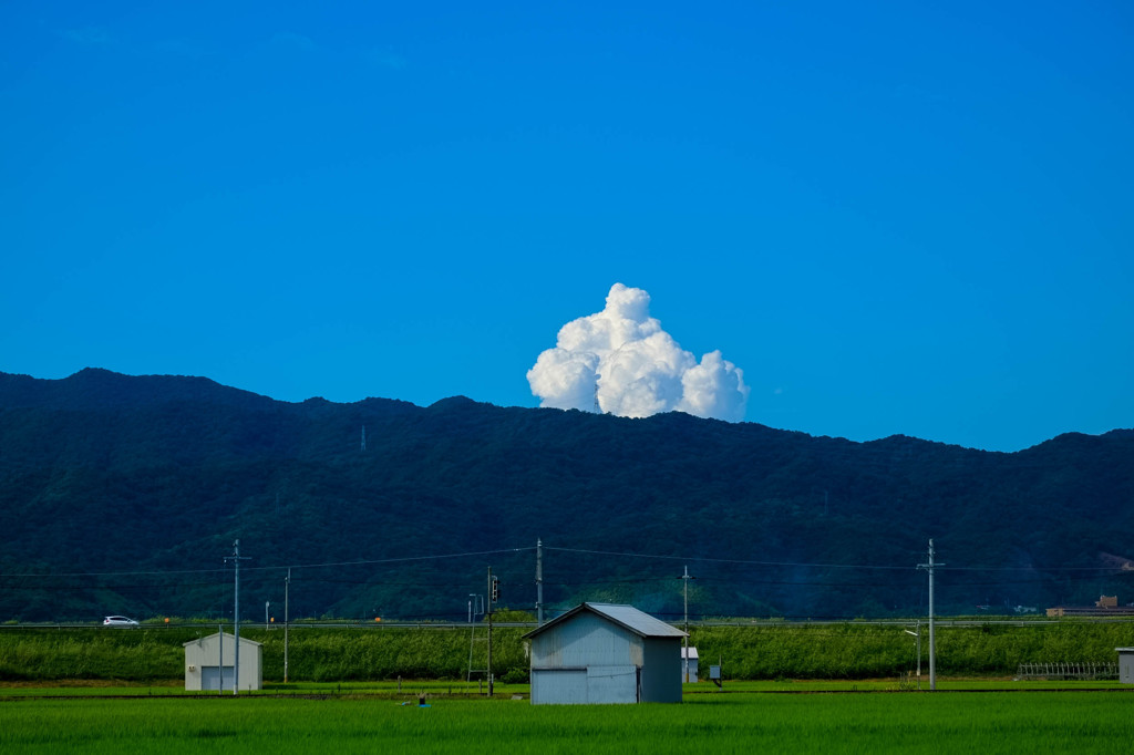 夏の日