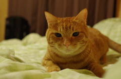こ・・こっちを、ね・・・狙ってるよね？