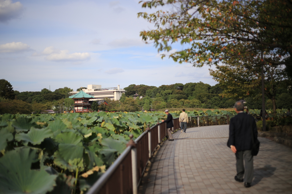 50ｍｍで撮る上野公園④