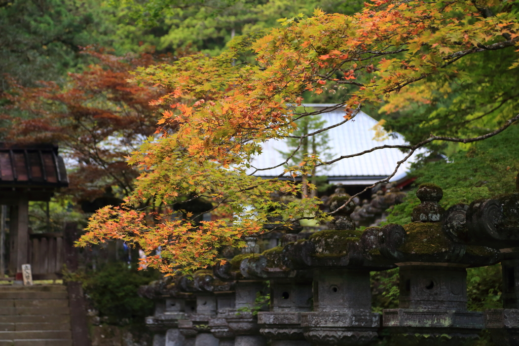 紅葉の始まり