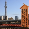 東京で一番美しく隅田川・スカイツリー・屋形船がみえる処