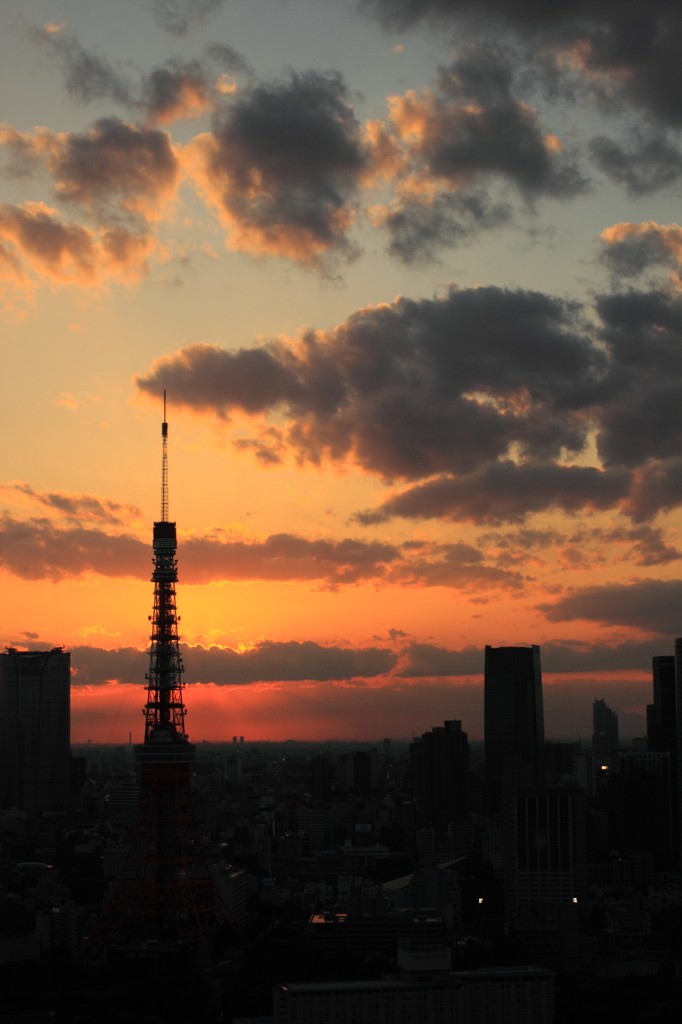 夕暮れ東京タワー
