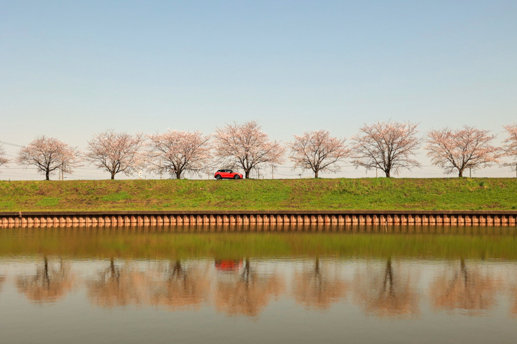 水鏡に映る桜並木