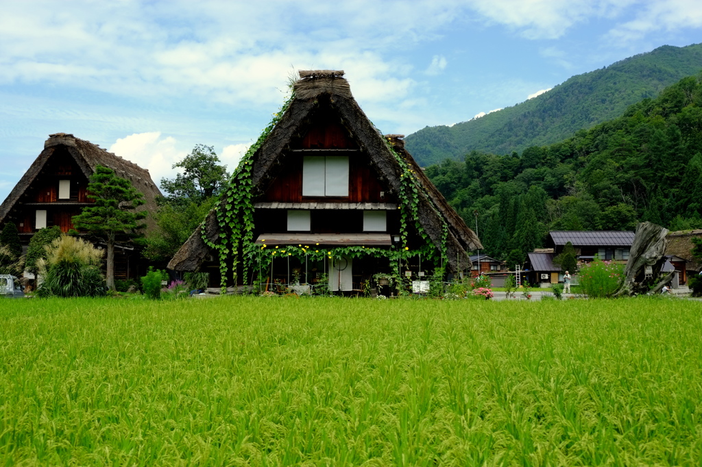 白川郷